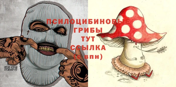a pvp Беломорск